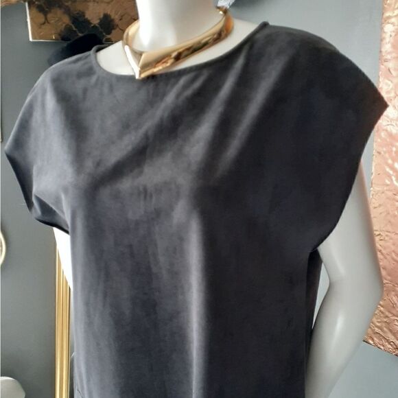 Wilfred Free Faux Suede Mini Dress - Picture 4 of 13